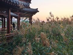 -水西公园