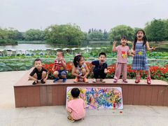 -杨梅红艺术教育(北京金源购物中心校区)