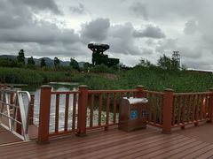 -芒洲湿地公园