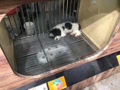 -宠物世家(仲盛世界商城店)