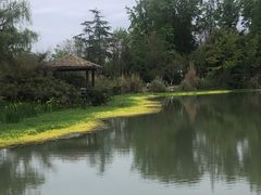 -桤木河湿地公园