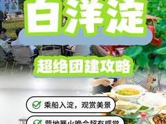 -白洋淀景区