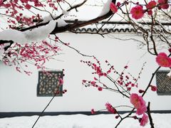 景点-荆川公园
