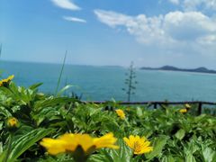 -漳州滨海火山岛自然生态风景区