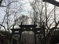 -杭州黄龙洞
