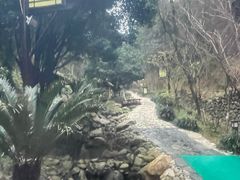 -明月山天沐温泉度假村