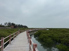 -北海金海湾红树林生态旅游区