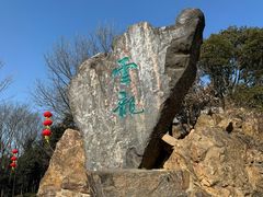 -惠山国家森林公园