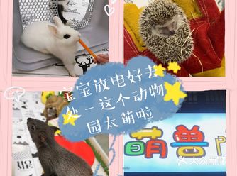 宝宝放电好去处—这个动物世界太萌啦