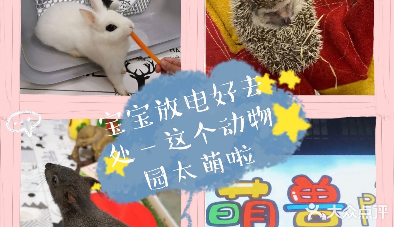 宝宝放电好去处—这个动物世界太萌啦
