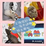 宝宝放电好去处—这个动物世界太萌啦
