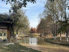 -西安浐灞国家湿地公园