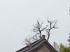 -浮来山风景区