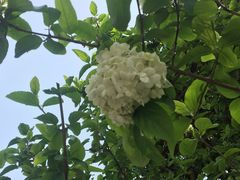 -白塘生态植物园