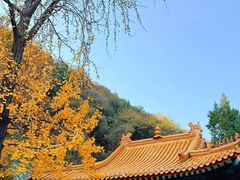 -千佛山风景名胜区