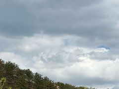 -大青山野生动物园