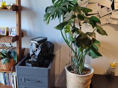 -参差咖啡(水果湖公园店)