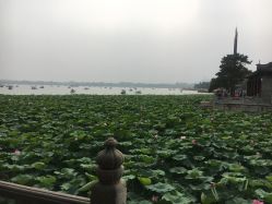 -颐和宾馆宴会厅