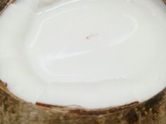 -椰爺爺·椰子冻砵仔糕