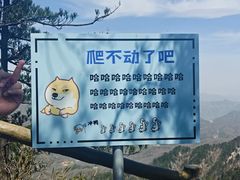 -洛阳白云山景区