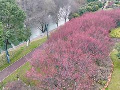 -四里河滨水生态公园