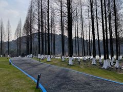 -东钱湖旅游度假区