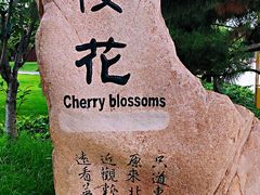 景点-鸽子窝公园