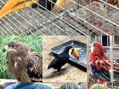 -鄂尔多斯野生动物园