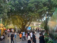 -河内西湖莲花自助餐厅