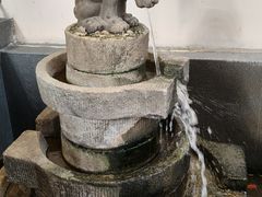 -单家老院·院子里的青岛菜(沙子口店)