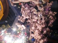 -清漫·派对音乐餐吧(市桥店)