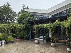 -龙猫意杯花园餐厅(芙蓉湖店)