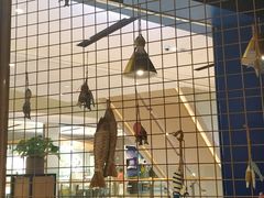 -鱼颜诱纸纸上烤鱼·蛙(龙湖天街店)