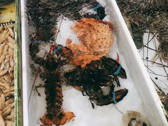 -南沙十九涌渔人码头-南门