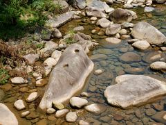 -石台牯牛降景区