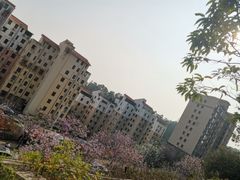 -小南山公园