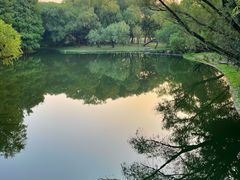 -上海共青森林公园