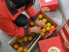 -叁宫礼水果批发仓储店(梅江店)