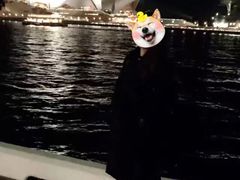 -悉尼歌剧院
