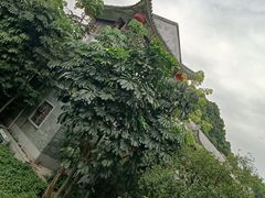 -荔湾湖公园