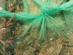 -岳各庄批发市场(西四环中路店)