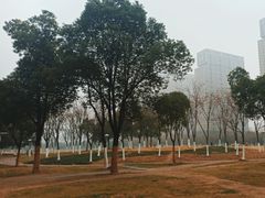 -天鹅湖体育公园