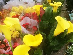 -重庆市江北嘴中央商务区中央公园