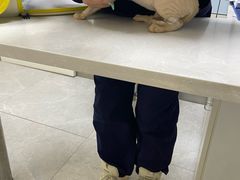 -中农国际动物医院24小时·猫科·骨科·急重症中心