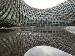 -凤凰中心