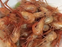 -品雅轩农家乐