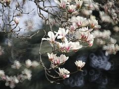 -南京晨光1865创意产业园