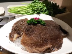 捞派毛肚-海底捞火锅(奥体南路店)