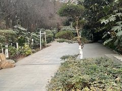 -西安市纺织公园