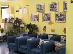 -瑞鹏宠物医院·爱宠堂·骨外专科(西荷分院)